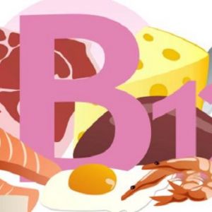 B12 Vitamini YÃƒÂ¼ksek Olan Yiyecekler Hangisidir